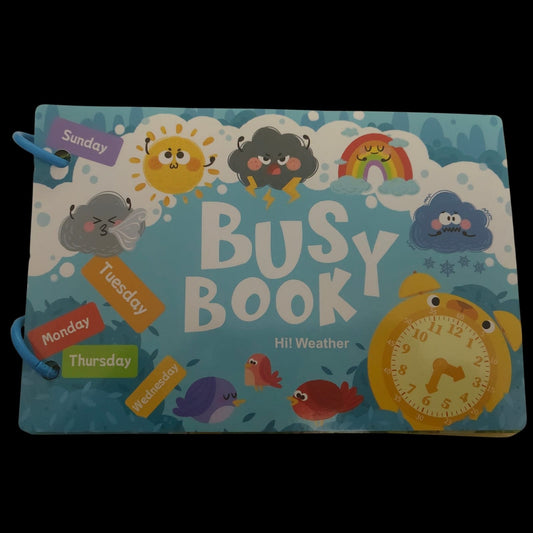 Busy book WEATHER (10 page activity book)