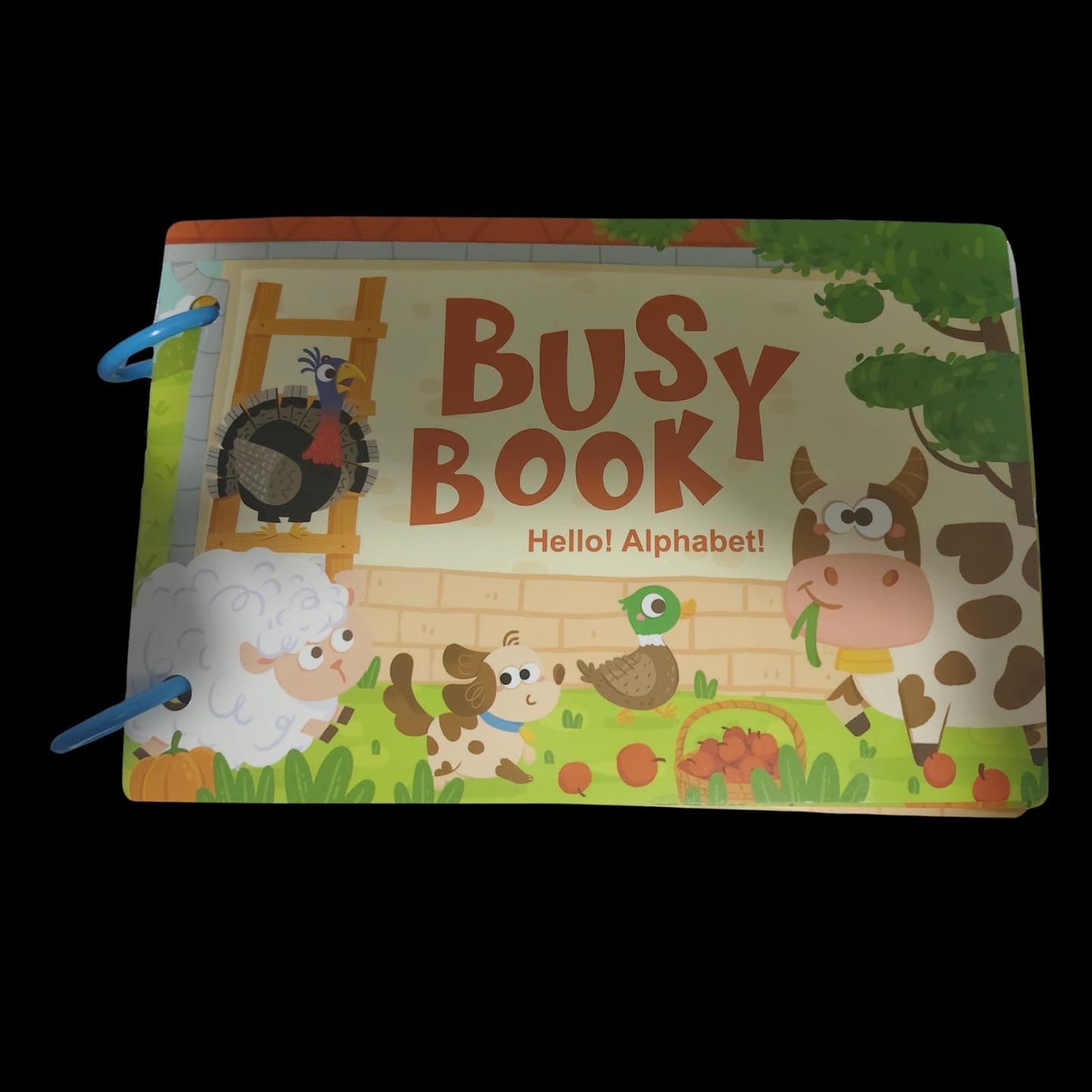 Busy book ALPHABET (10 page activity book)